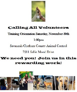 Animal Control Seeks Volunteers