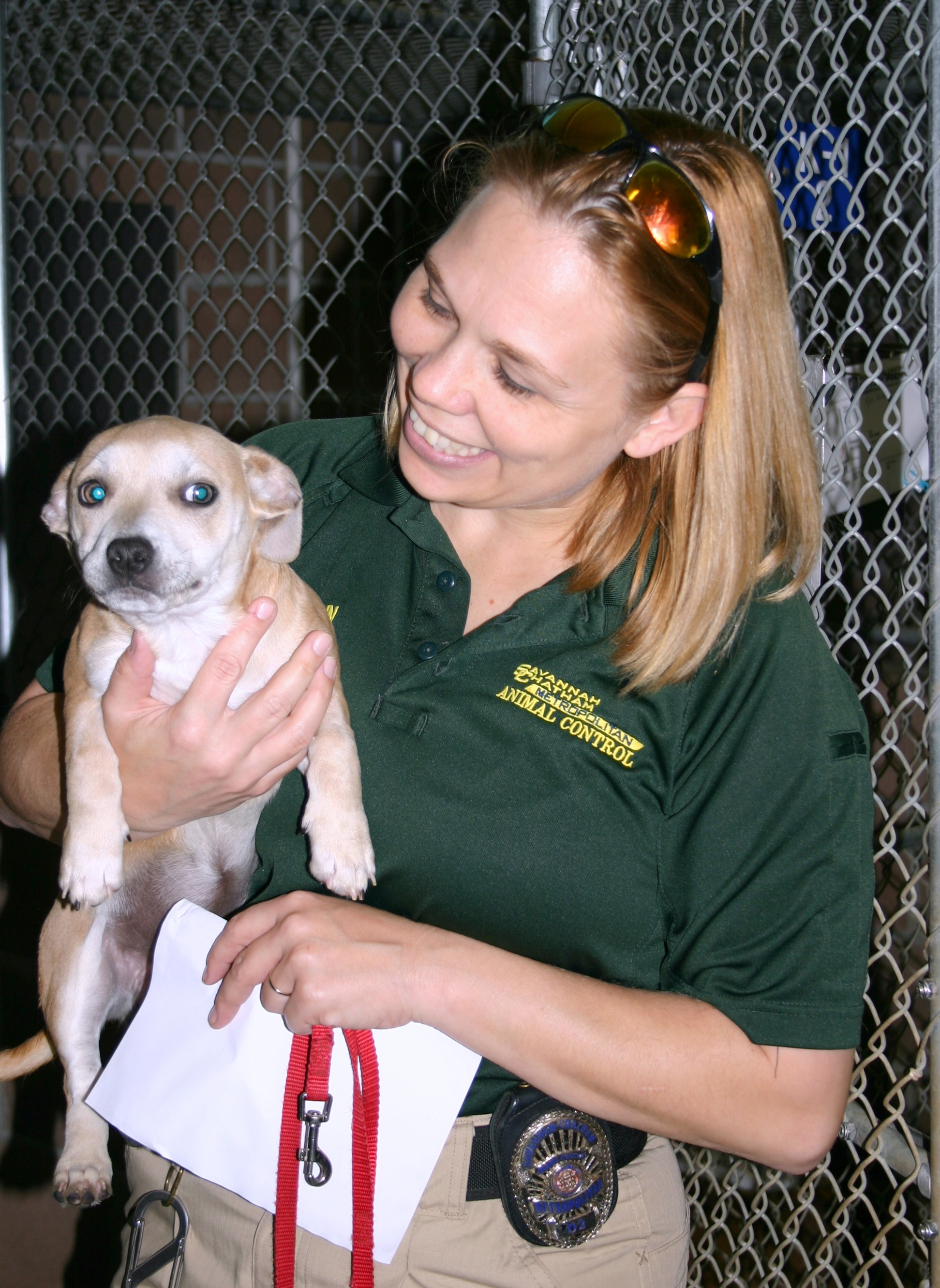 Animal Control Officer Christina Sutherin carries a pup to the Atlanta Humane Society transport vehicle.