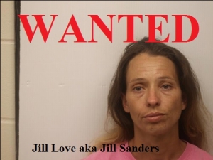 Jill Sanders